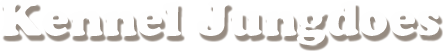 Kennel Jungdoes - opdræt af Schapendoes logo